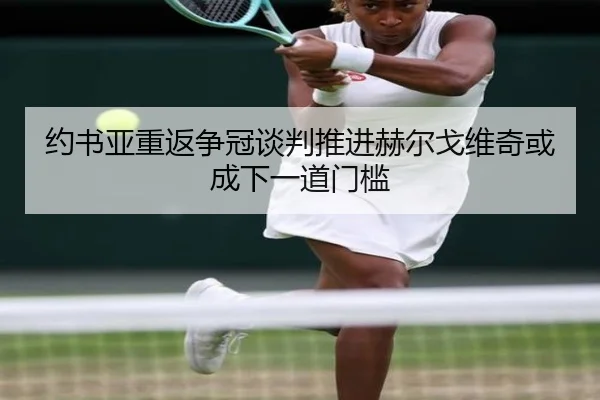 约书亚重返争冠谈判推进赫尔戈维奇或成下一道门槛 - kaiyun sports
