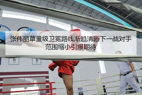 张伟丽草量级卫冕路线渐趋清晰下一战对手范围缩小引爆期待 - kaiyun sports